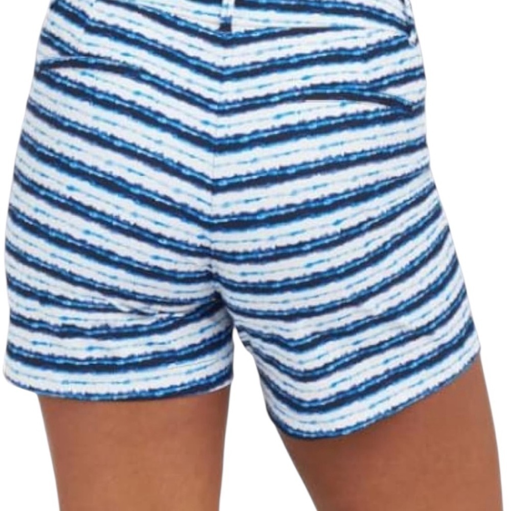 SPANX Blue Painted Striped Shorts Size: L - Picture 2 of 9